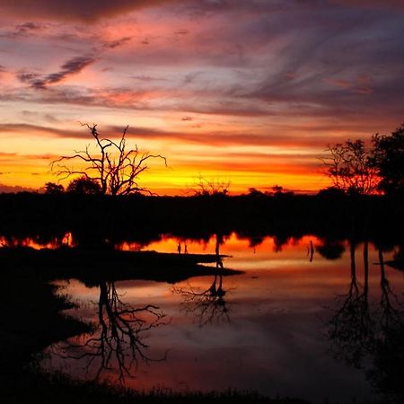 Motswari Private Game Reserve By Newmark Заповедник Тимбавати Экстерьер фото