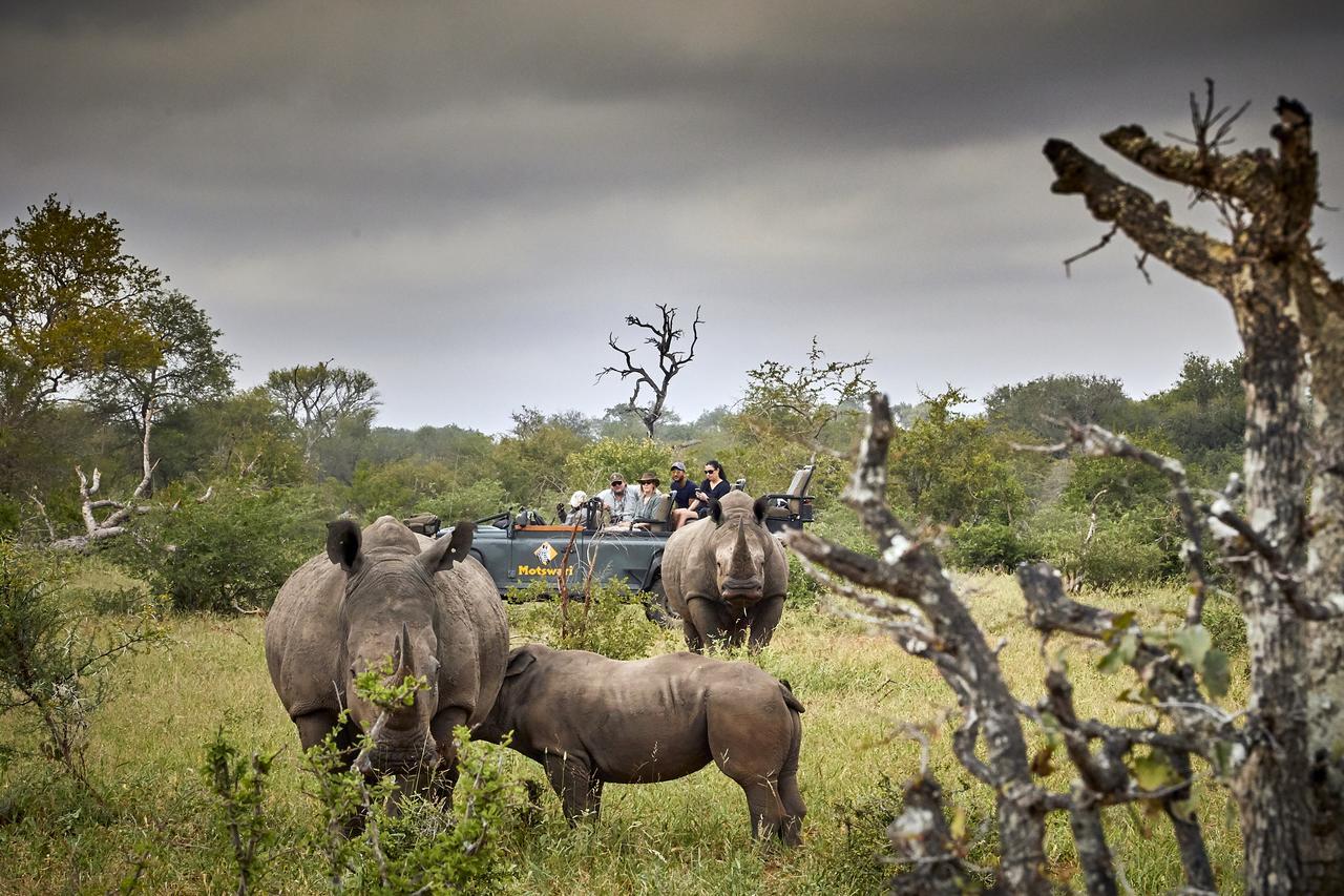 Motswari Private Game Reserve By Newmark Заповедник Тимбавати Экстерьер фото