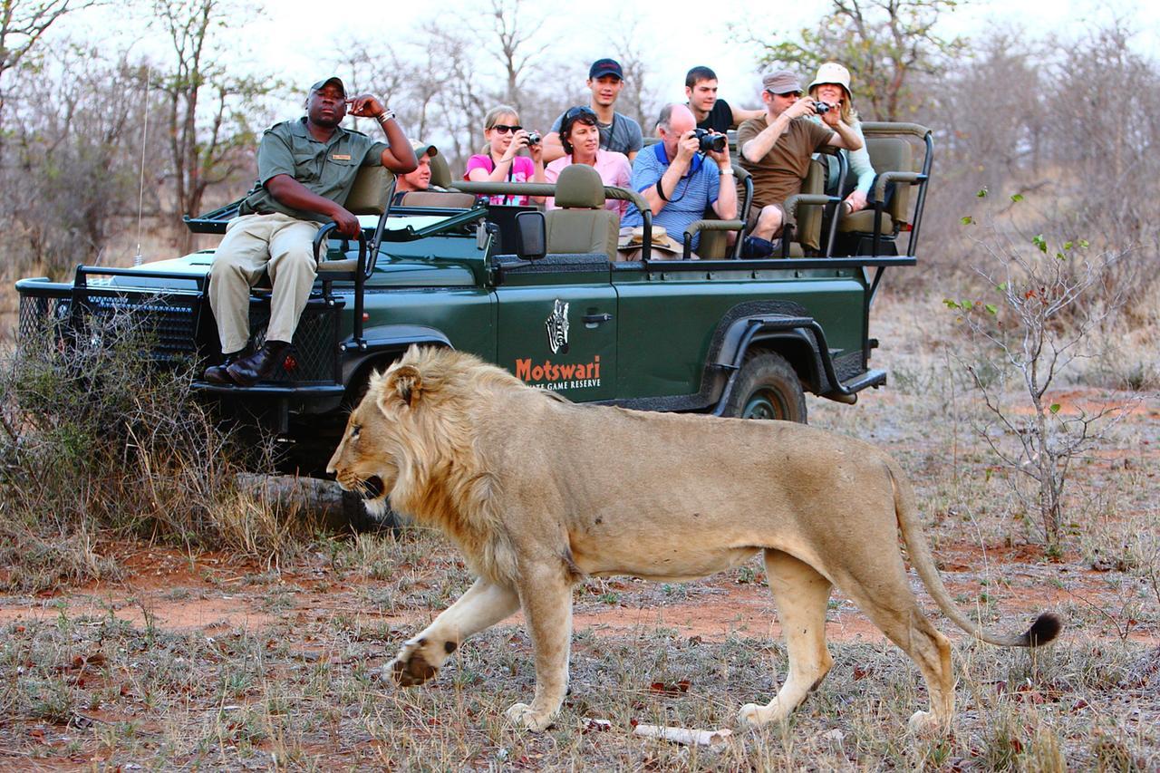Motswari Private Game Reserve By Newmark Заповедник Тимбавати Экстерьер фото