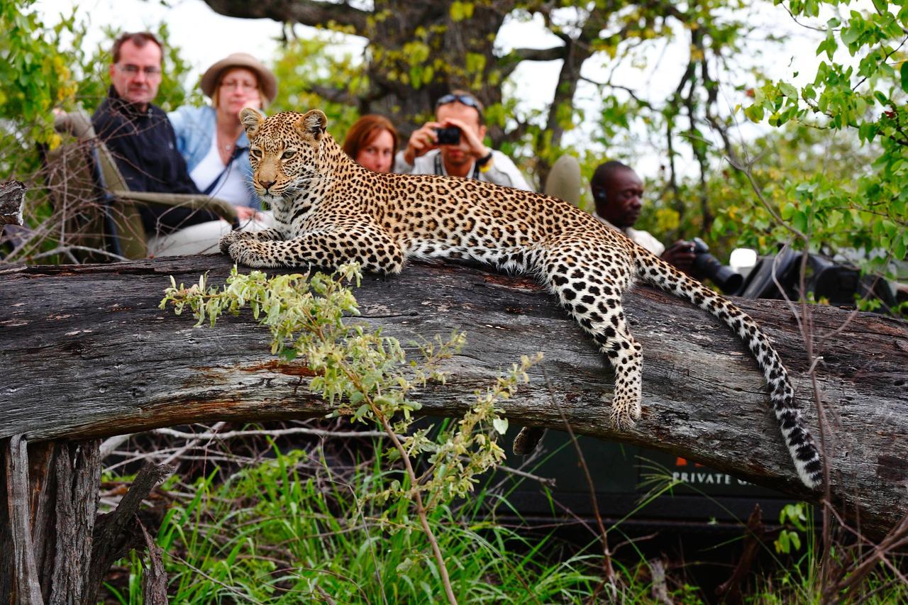 Motswari Private Game Reserve By Newmark Заповедник Тимбавати Экстерьер фото